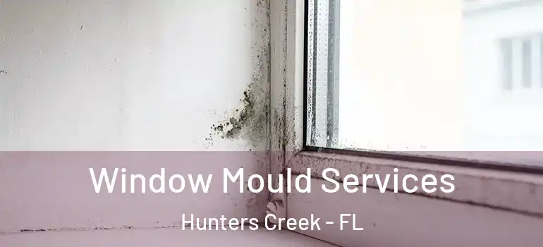 Window Mould Services Hunters Creek - FL